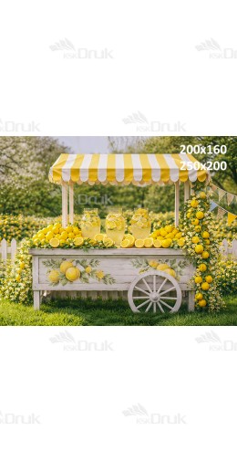 Tło fotograficzne „Letni stragan z lemoniadą i cytrynami w ogrodzie” | 4003